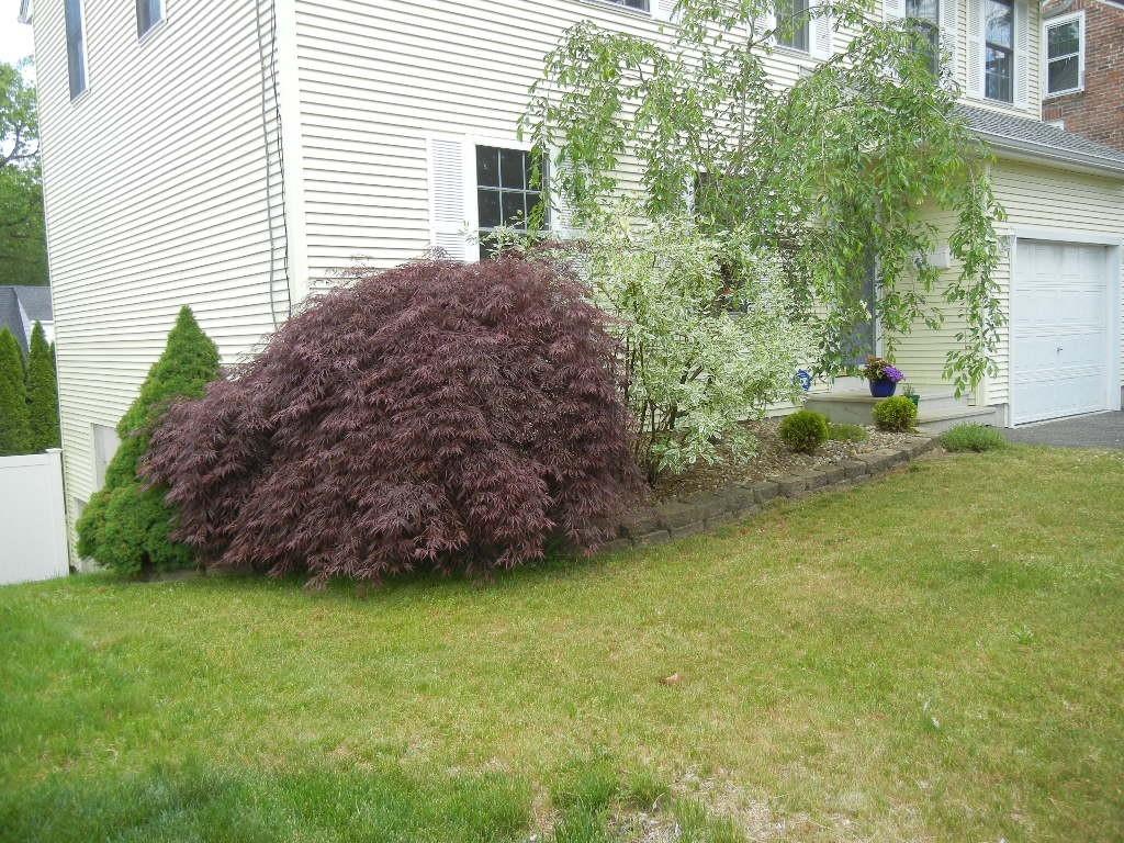 113 Appleton Street Springfield, MA 01108 - Photo 4 of 40 a view of a house with a garden