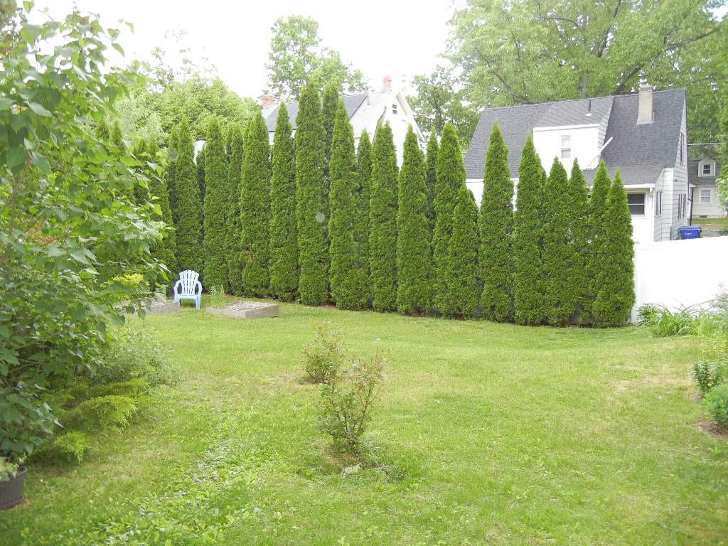 113 Appleton Street Springfield, MA 01108 - Photo 9 of 40 a backyard of a house with lots of green space and plants
