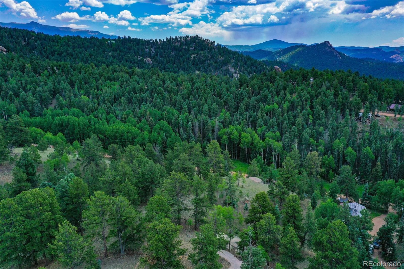 525 Spring Valley Lane Florissant, CO 80816 - Photo 11 of 13 a view of a lush green forest with lots of trees