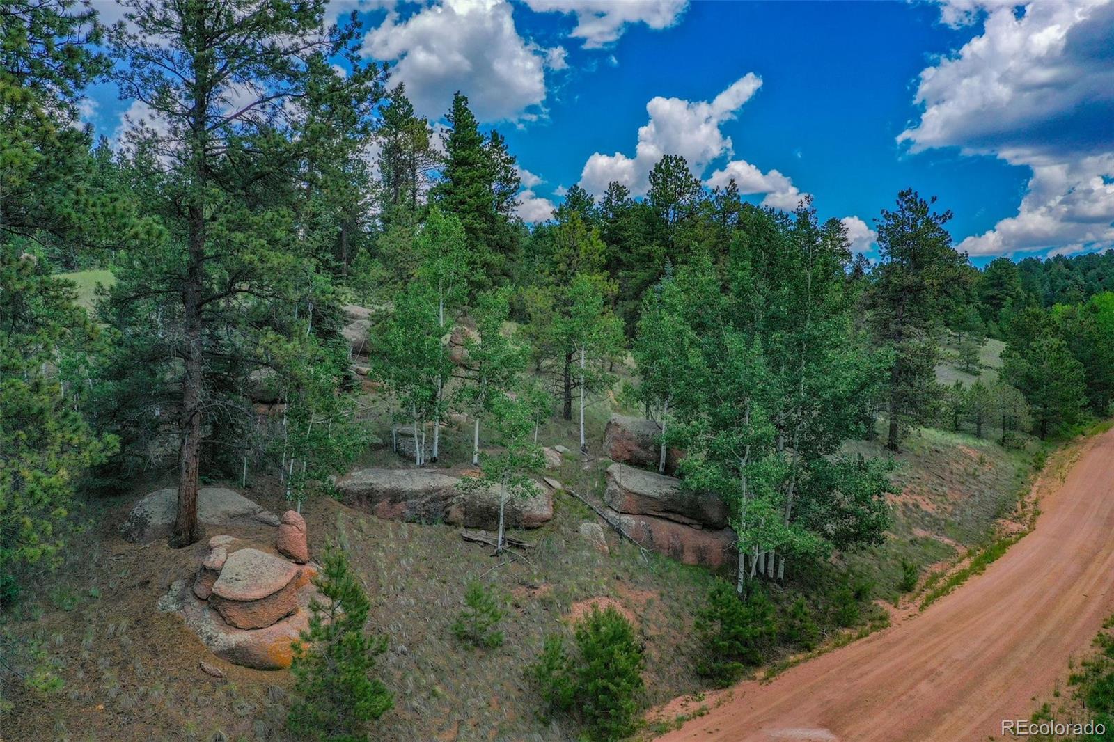 525 Spring Valley Lane Florissant, CO 80816 - Photo 13 of 13 a view of a backyard with plants and a garden