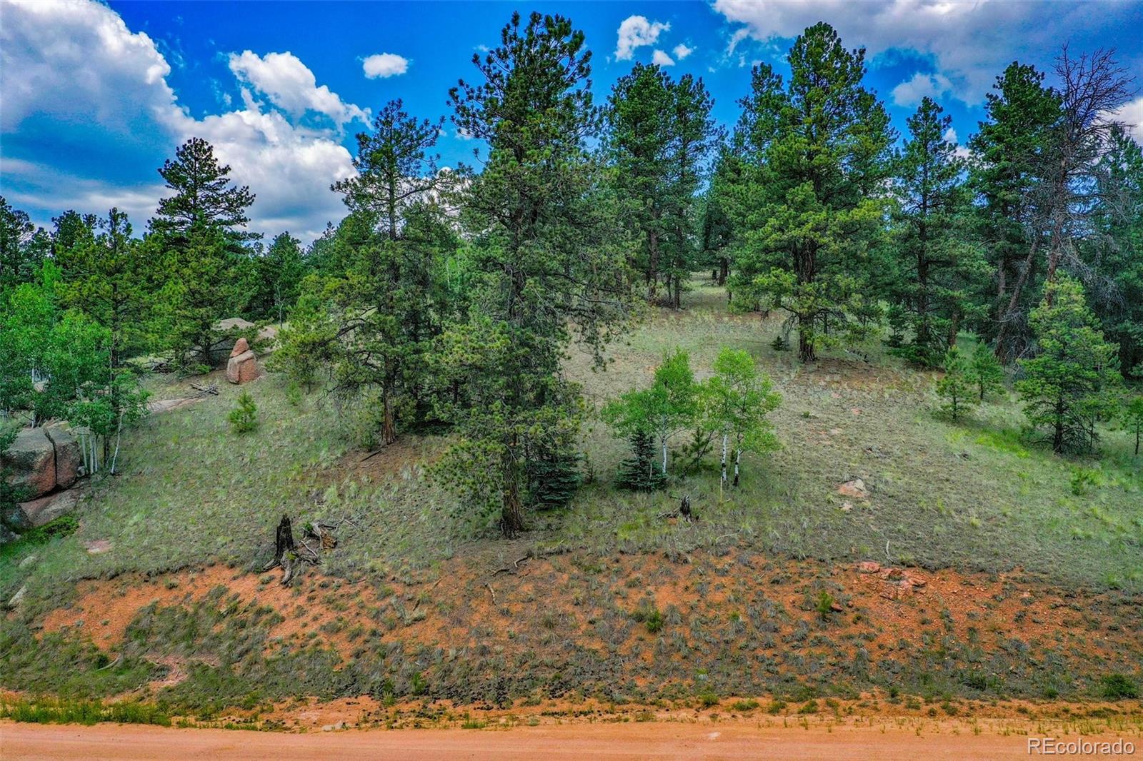 525 Spring Valley Lane Florissant, CO 80816 - Photo 3 of 13 a backyard of a house with lots of green space