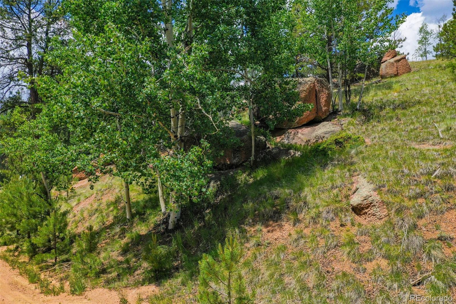 525 Spring Valley Lane Florissant, CO 80816 - Photo 4 of 13 a view of a lush green space