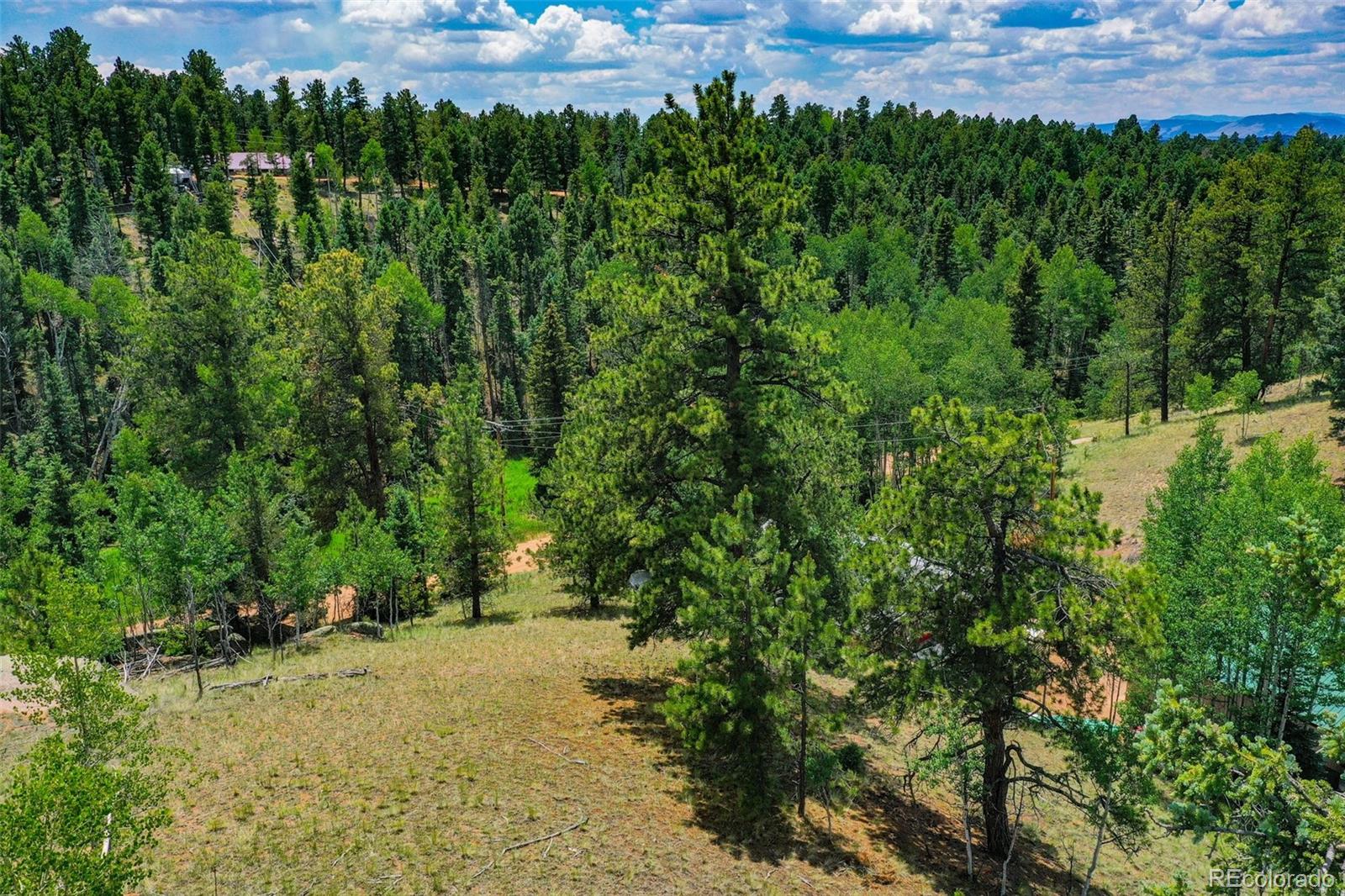 525 Spring Valley Lane Florissant, CO 80816 - Photo 5 of 13 a view of a yard with a tree