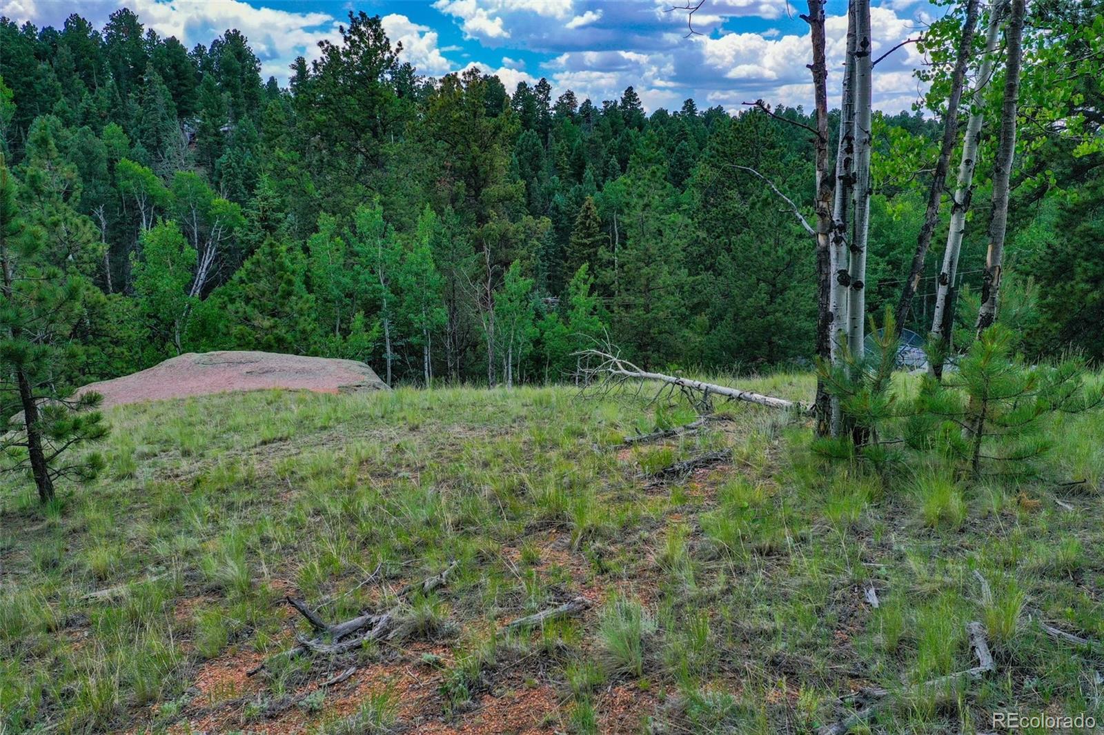 525 Spring Valley Lane Florissant, CO 80816 - Photo 7 of 13 a view of outdoor space and yard