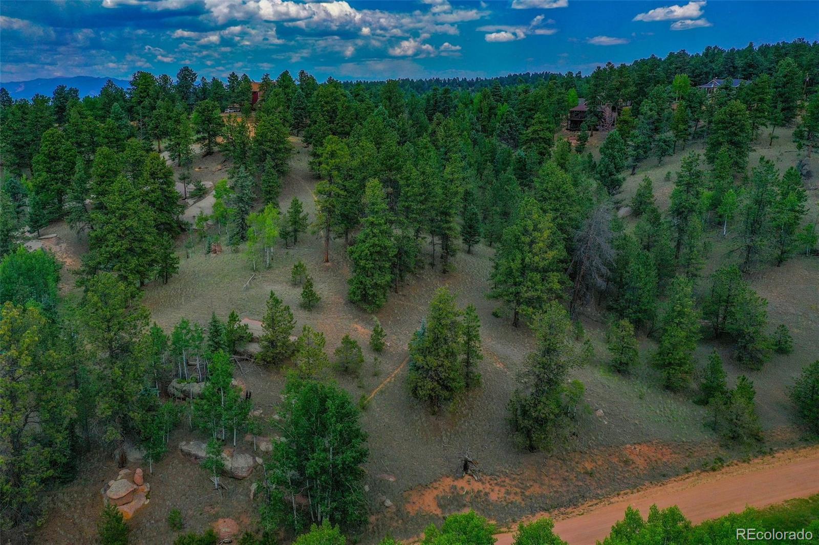 525 Spring Valley Lane Florissant, CO 80816 - Photo 9 of 13 a view of a garden with a building