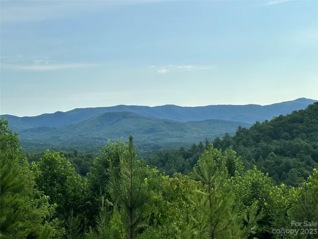 a view of a forest with mountains in the background