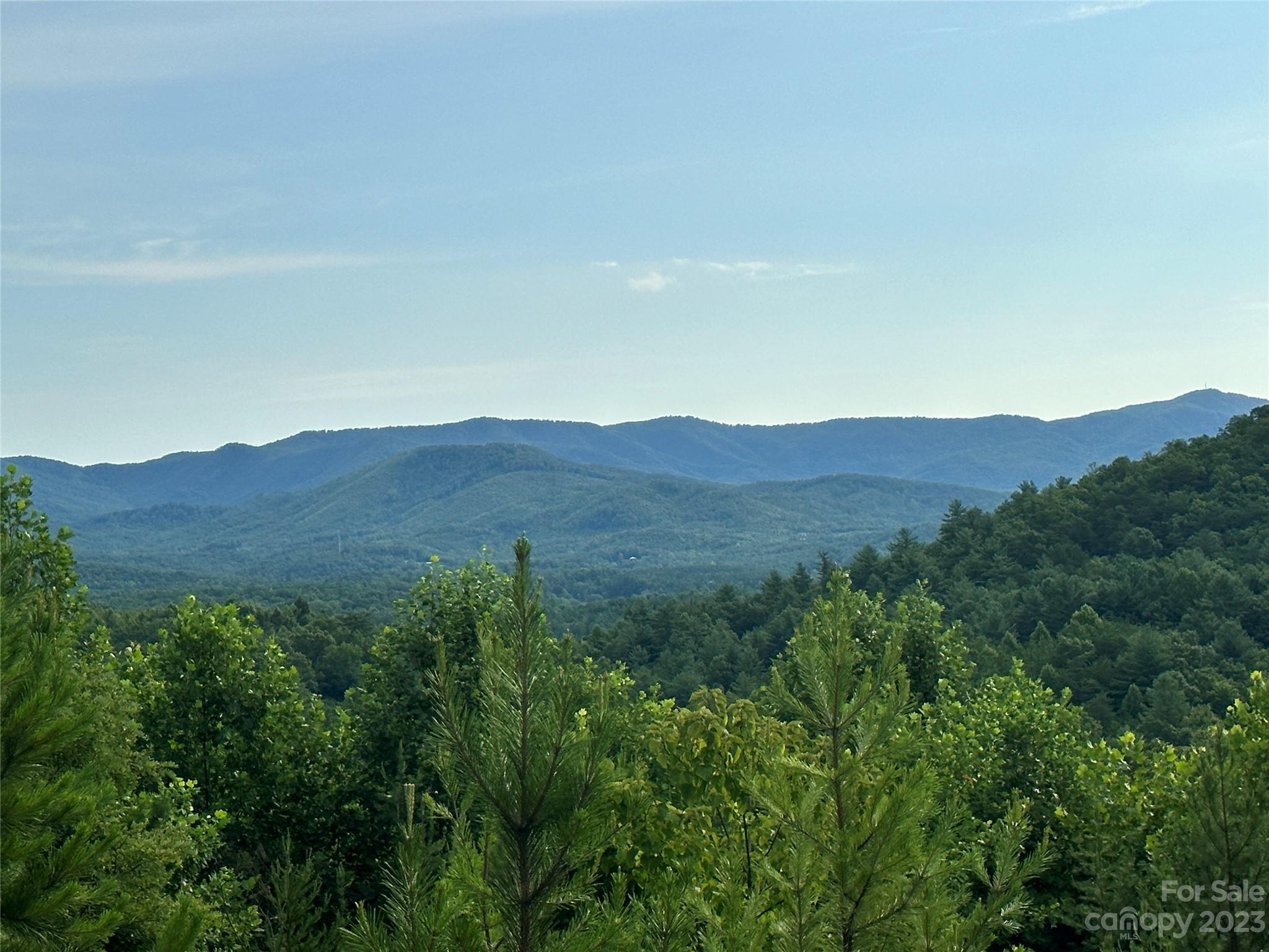643 Woodgate Drive, Unit 40 Bostic, NC 28018 - Photo 11 of 17 a view of a forest with mountains in the background