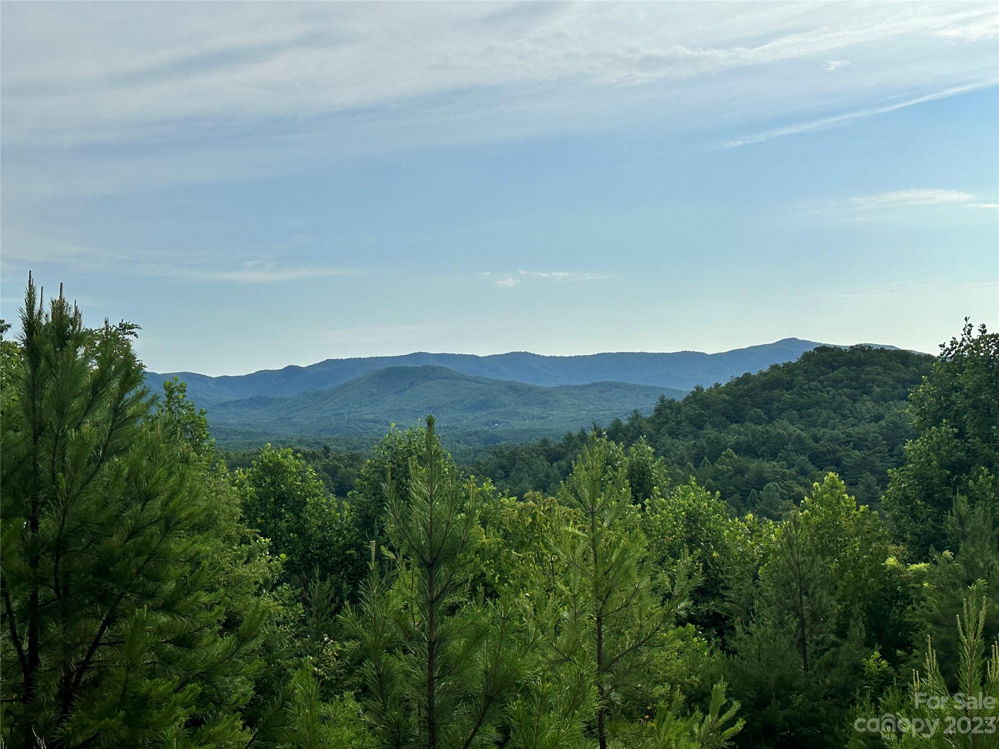 643 Woodgate Drive, Unit 40 Bostic, NC 28018 - Photo 12 of 17 a view of a mountain range with lush green forest