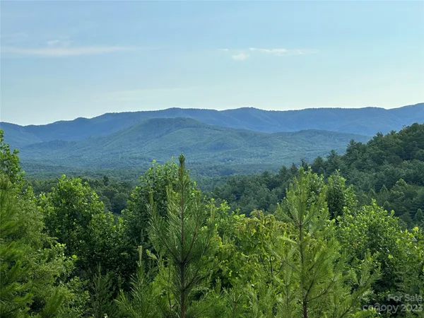 a view of a mountain range with lush green forest