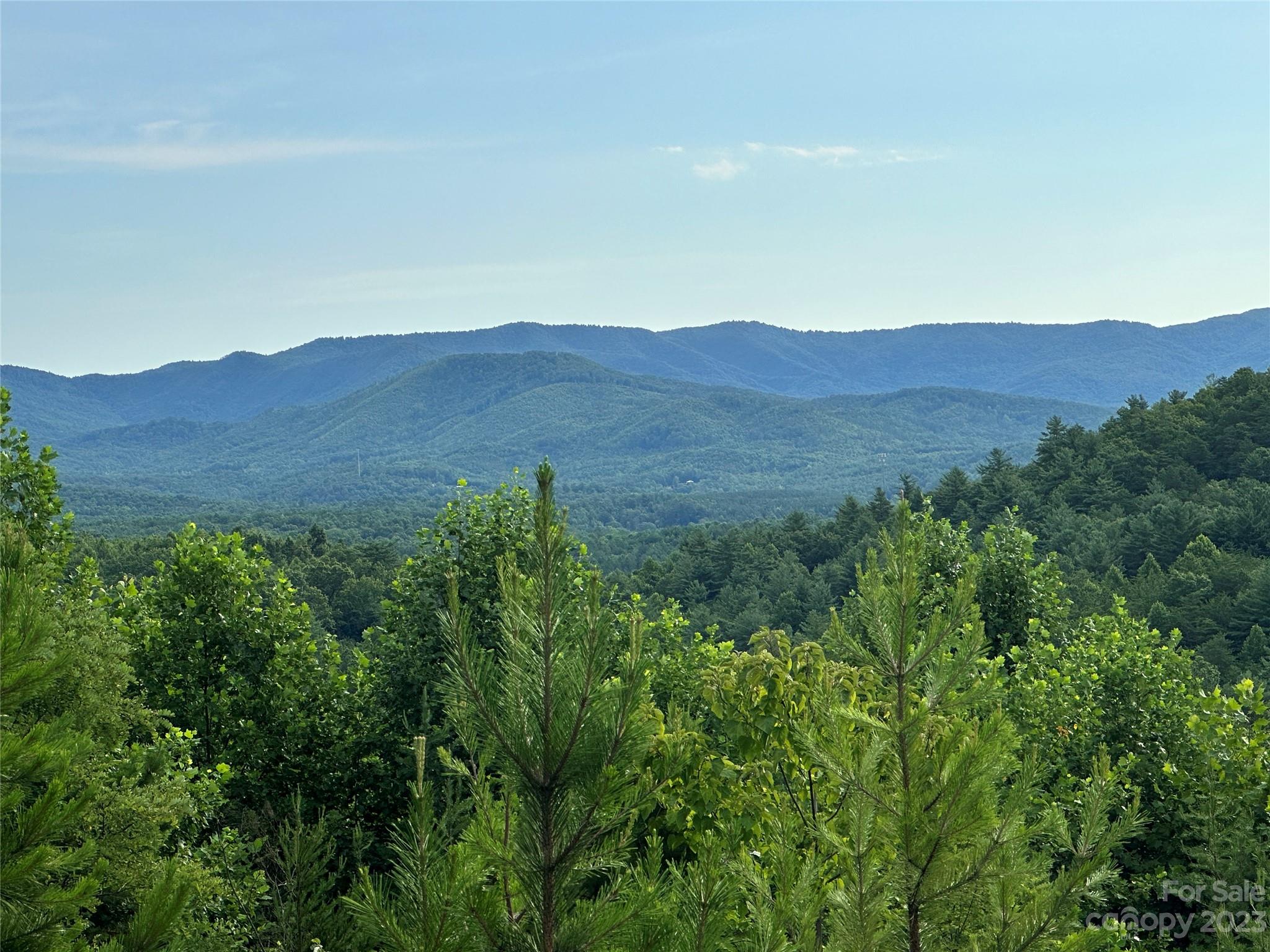 643 Woodgate Drive, Unit 40 Bostic, NC 28018 - Photo 13 of 17 a view of a mountain range with lush green forest