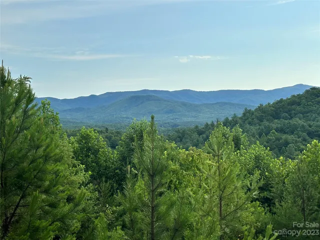 a view of a lush green field with mountains in the background