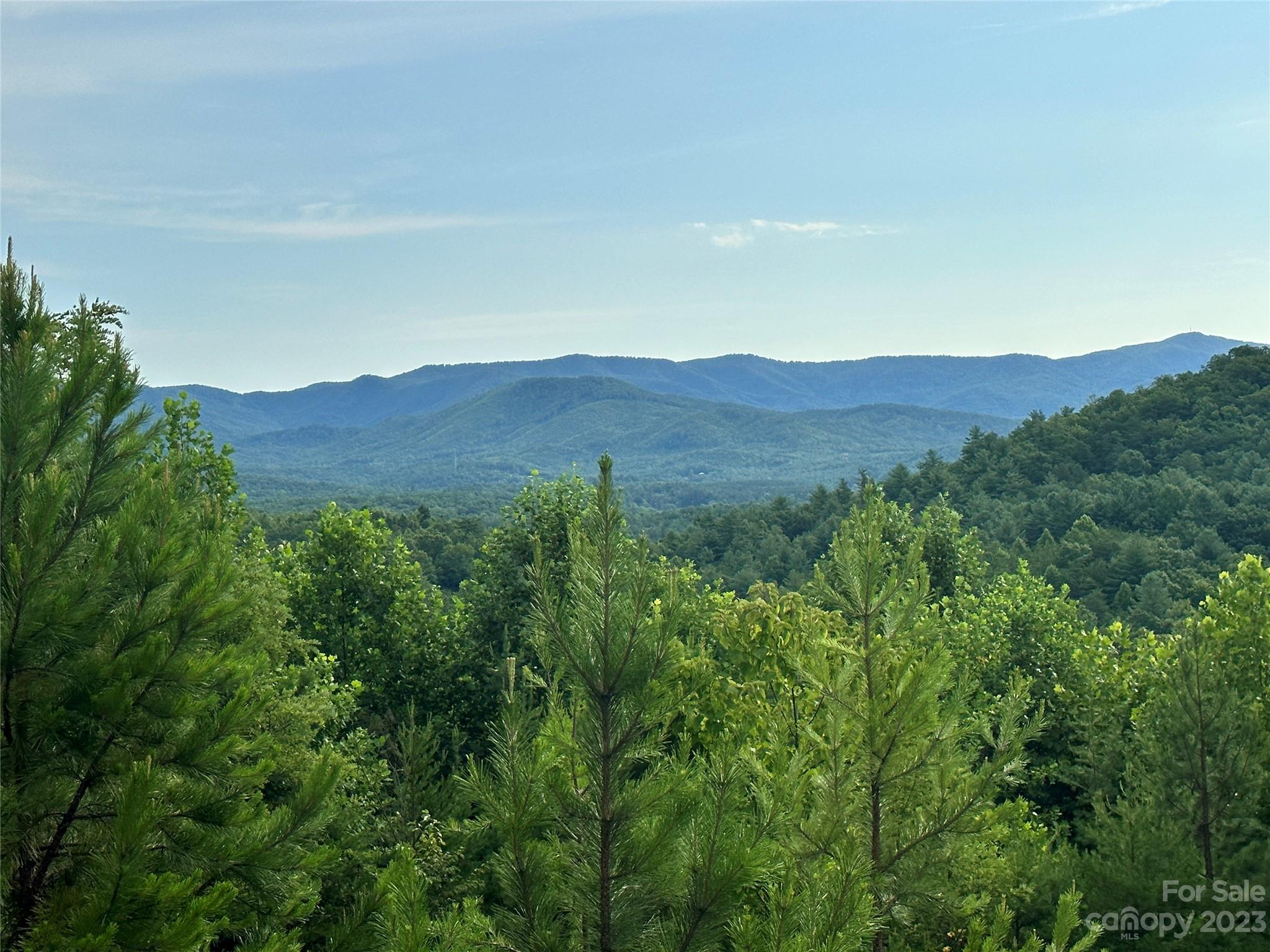 643 Woodgate Drive, Unit 40 Bostic, NC 28018 - Photo 14 of 17 a view of a lush green field with mountains in the background
