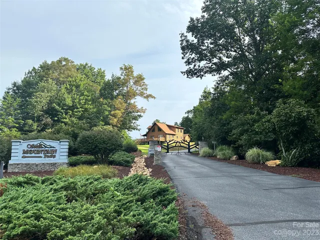 a view of a park that has large trees