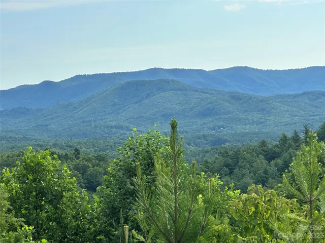 a view of a mountain in the distance in a field