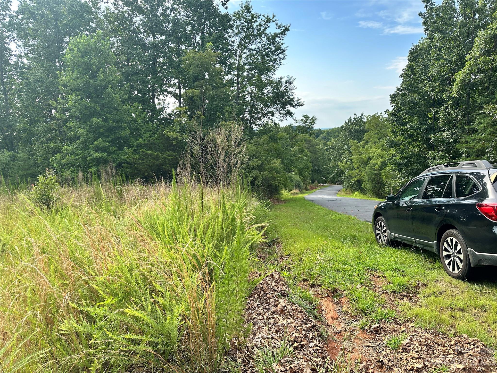 643 Woodgate Drive, Unit 40 Bostic, NC 28018 - Photo 3 of 17 a view of a backyard with a car parked in it