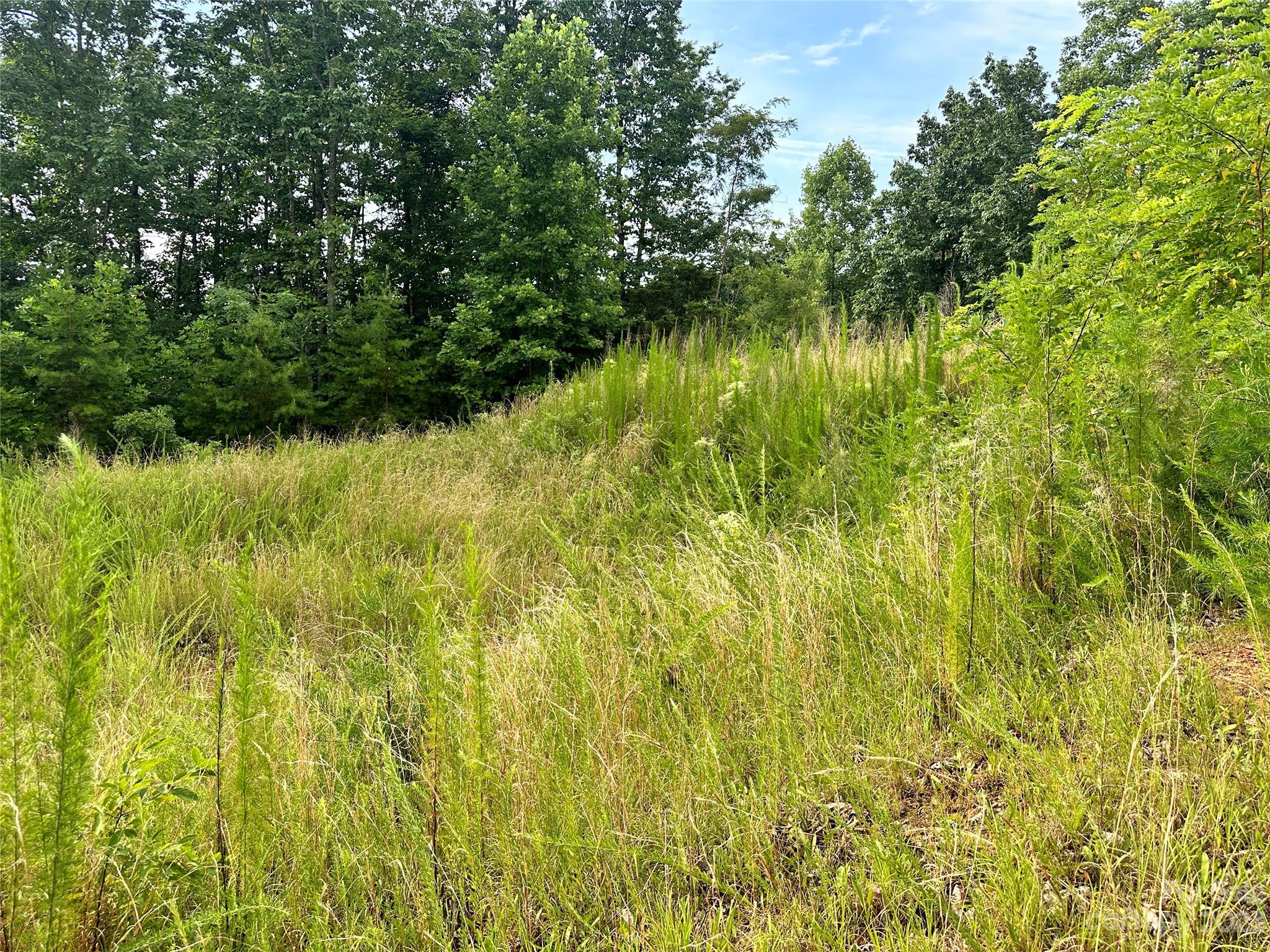 643 Woodgate Drive, Unit 40 Bostic, NC 28018 - Photo 4 of 17 a view of a lake view