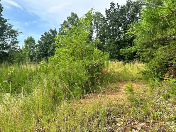 a view of a lake view with a garden