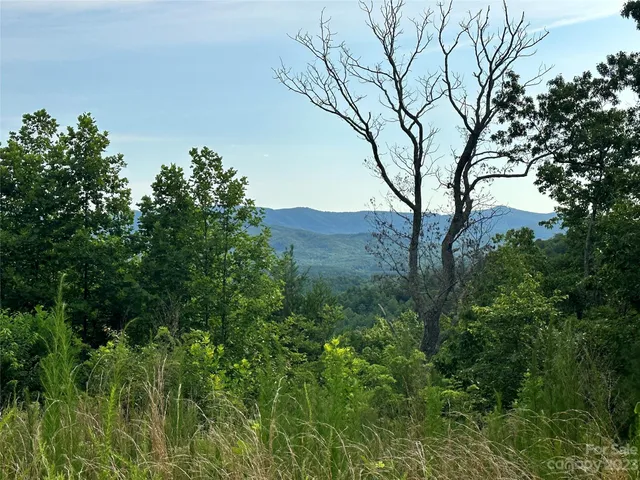 a view of mountain view with lots of trees