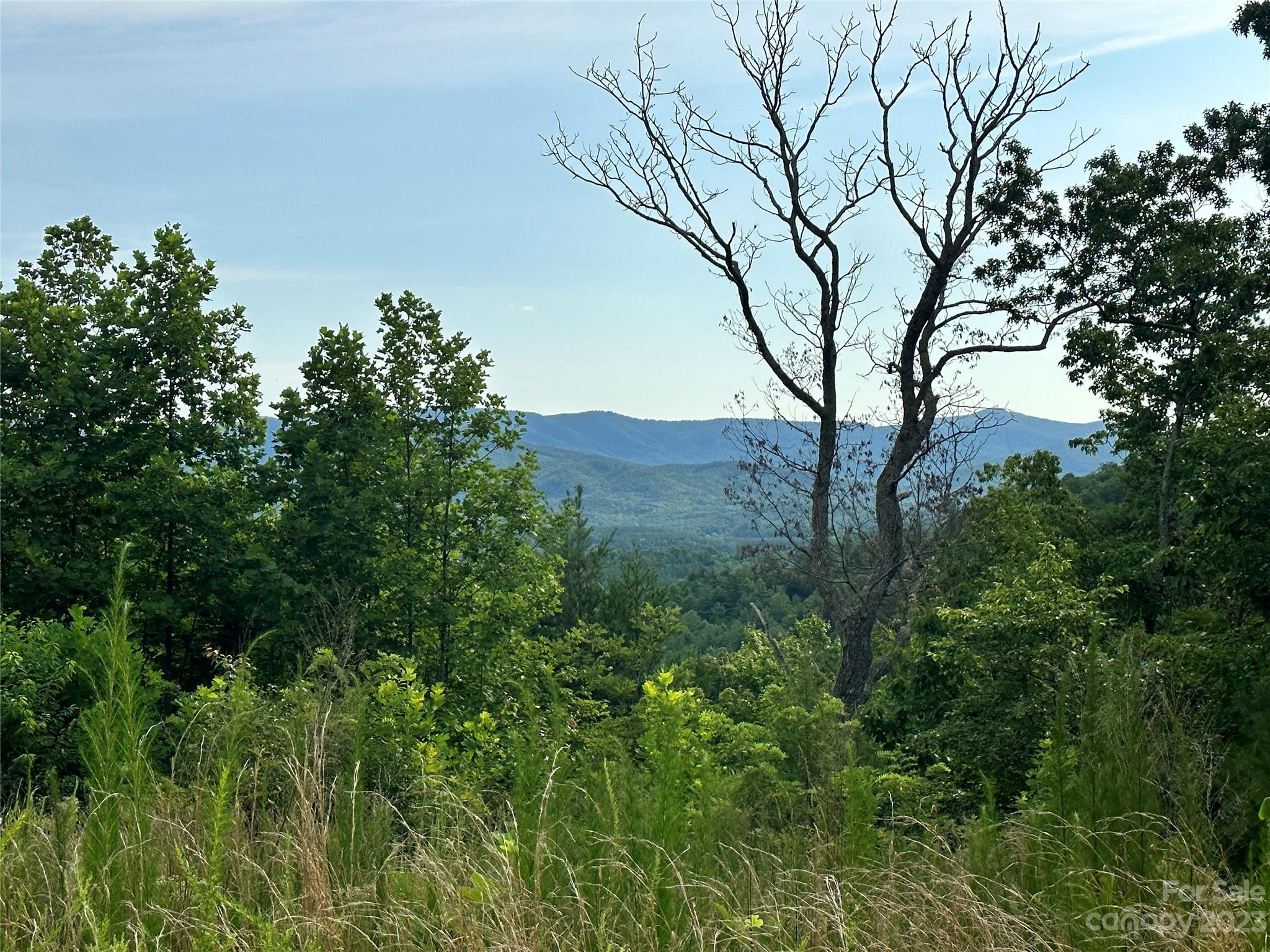 643 Woodgate Drive, Unit 40 Bostic, NC 28018 - Photo 6 of 17 a view of mountain view with lots of trees