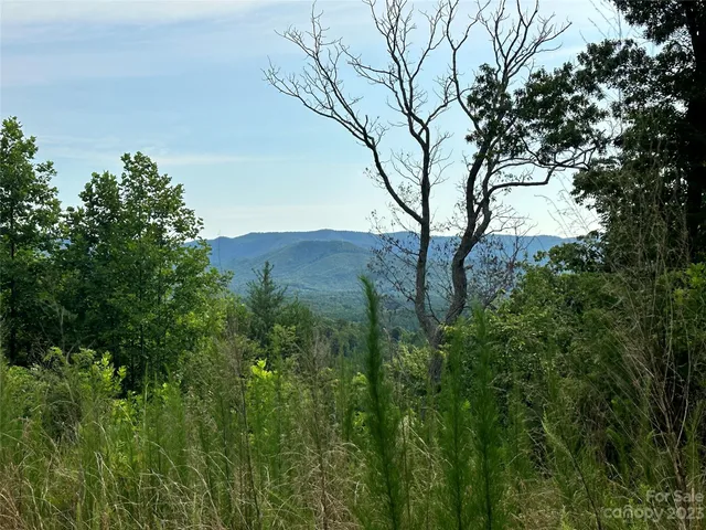 a view of mountain view with a tree in the background