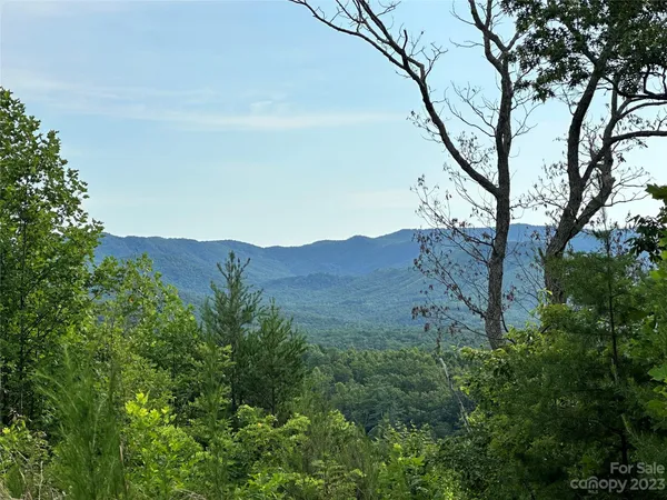an aerial view of mountain with trees around