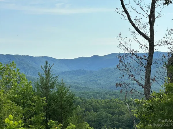 a view of a mountain in the distance in a field