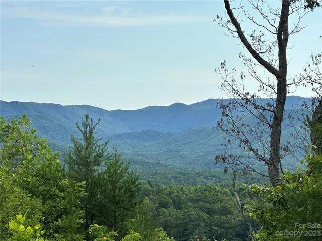 a view of a mountain in the distance in a field