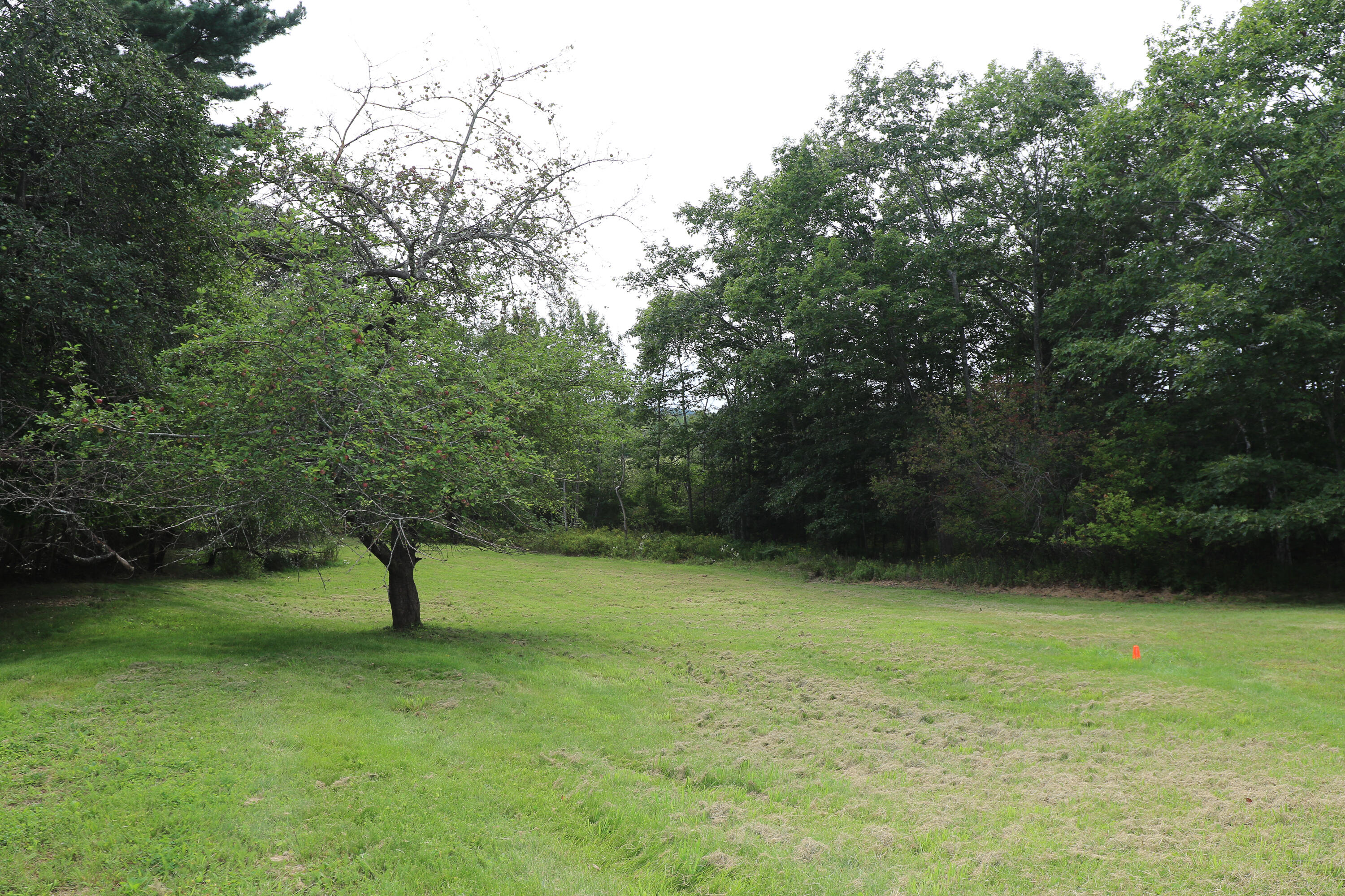 215 West Shore Road Sorrento, ME 04677 - Photo 19 of 19 133A0017