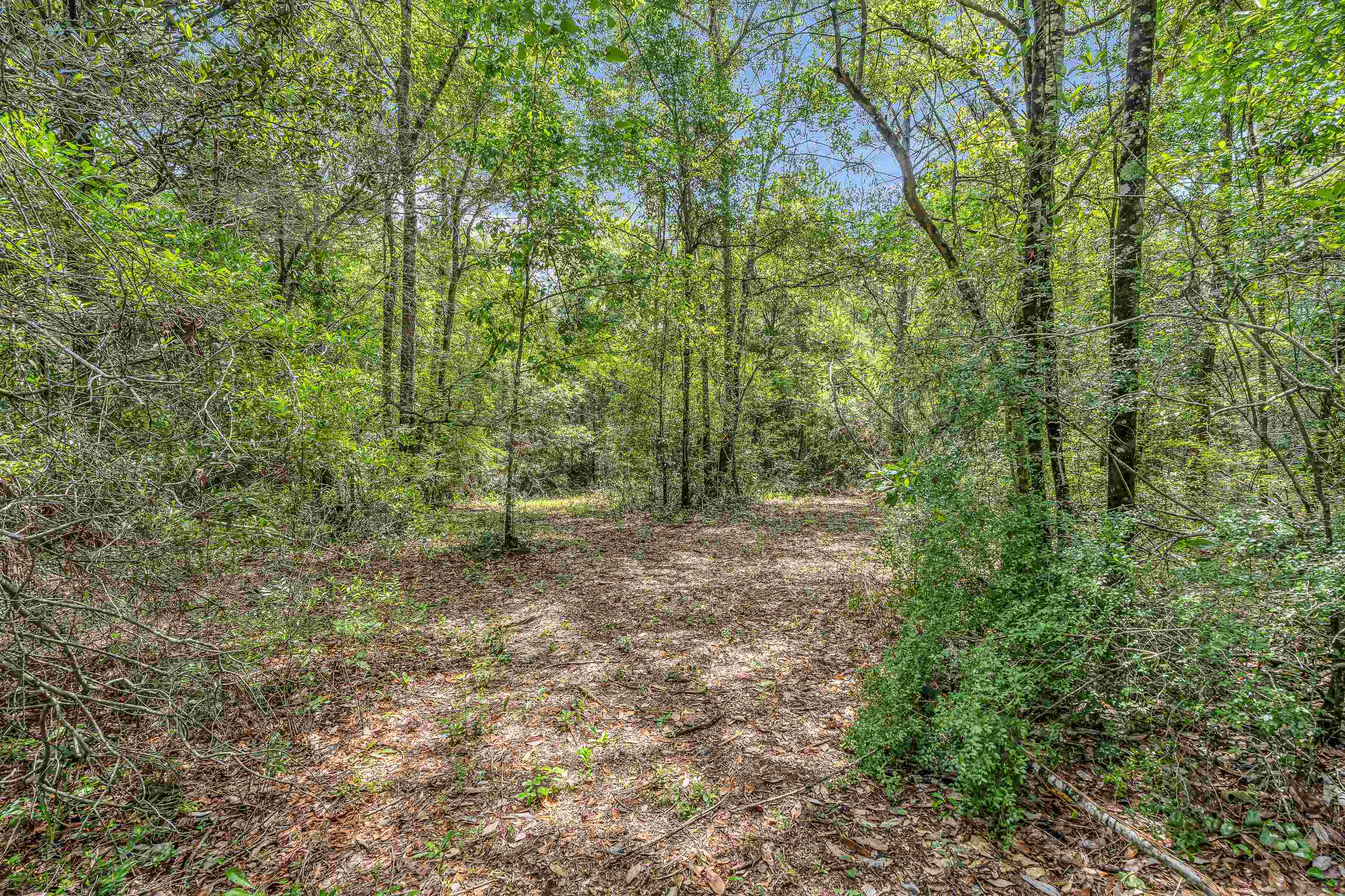 39 County Road 39 Stapleton, AL 36578 - Photo 9 of 16 View