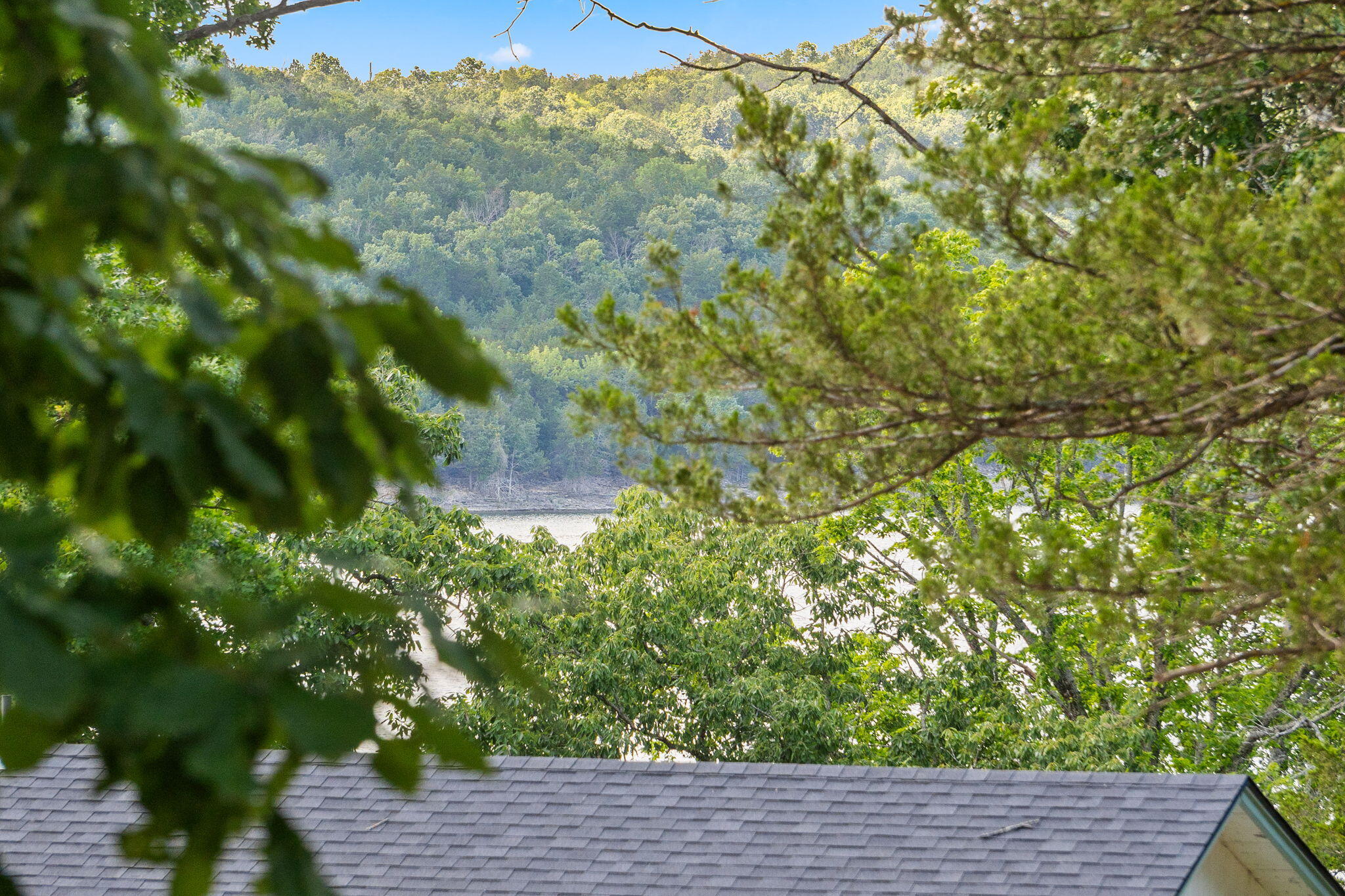 Lot 18 Kings Cove Lane Reeds Spring, MO 65737 - Photo 8 of 25 Lot-18a-Kings-Cv-Ln-Lake-Close-Lot