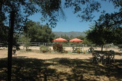 526 South Rice Road Ojai, CA 93023 - Photo 3 of 12 a backyard of a house with table and chairs