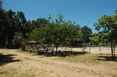 526 South Rice Road Ojai, CA 93023 - Photo 4 of 12 a view of park bench