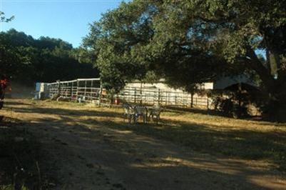 526 South Rice Road Ojai, CA 93023 - Photo 5 of 12 a view of a house with a yard