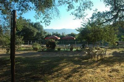 526 South Rice Road Ojai, CA 93023 - Photo 6 of 12 a view of a garden