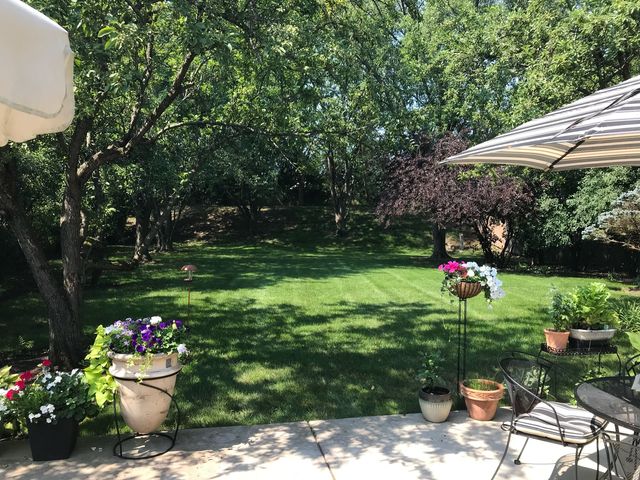 a backyard of a house with a swing chair and entertaining space