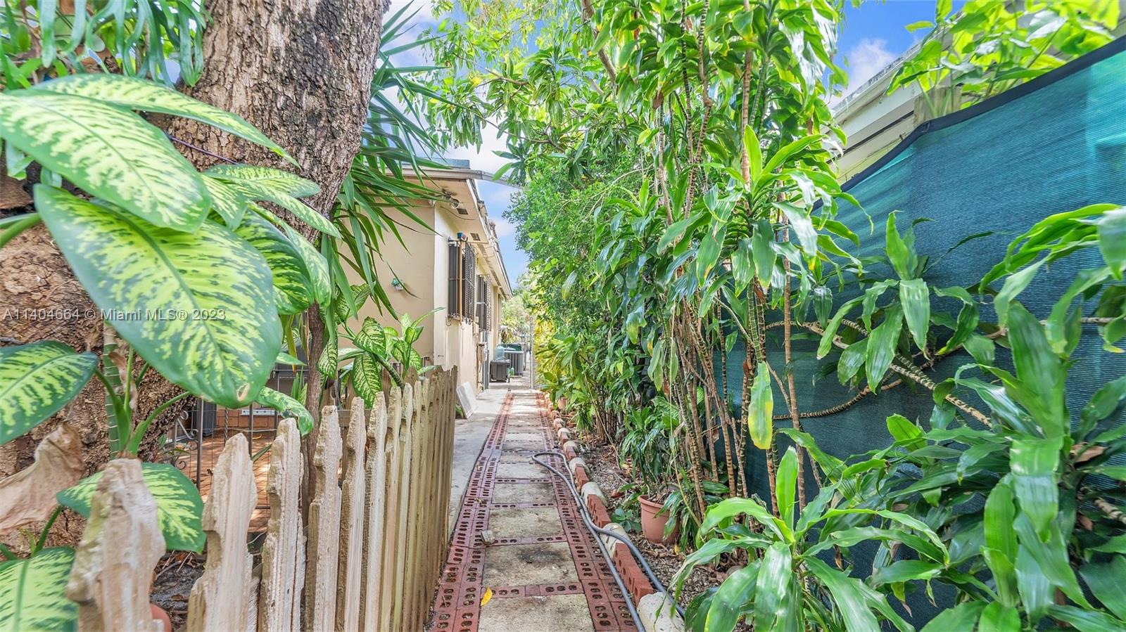 3333 Southwest 1st Street Miami, FL 33135 - Photo 63 of 70 a plant with lots of plant in front of it