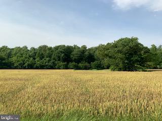 0 Brunkhorst Road Preston, MD 21655 - Photo 1 of 1 Gallery Image 1