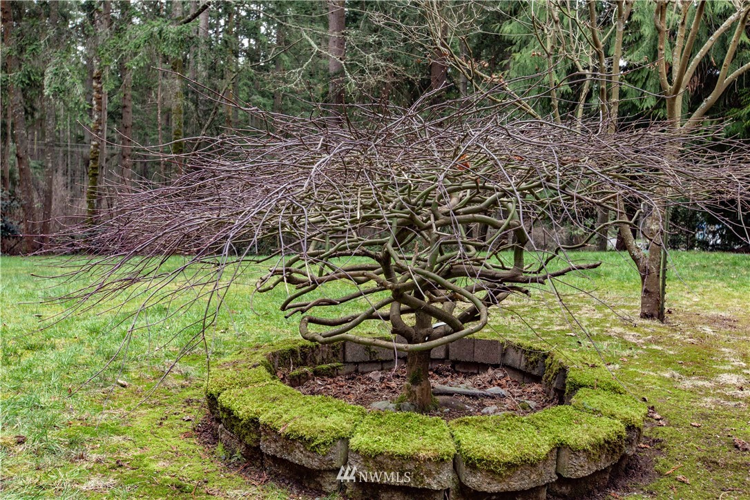 7713 Cultus Bay Road Clinton, WA 98236 - Photo 20 of 25 Gallery Image 20