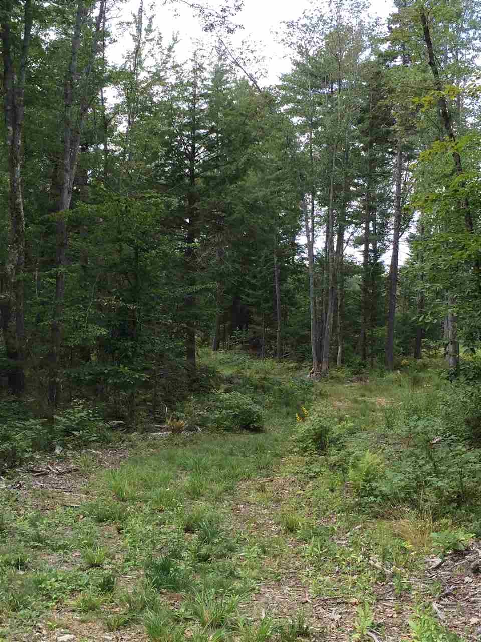 37 Bancroft Road Rindge, NH 03461 - Photo 12 of 12