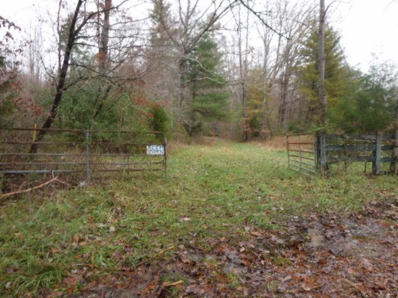 85 Twin Bridge Road Deer Lodge, TN 37726 - Photo 1 of 30 Gallery Image 1