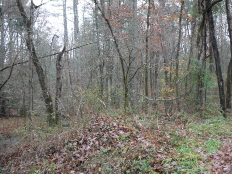 85 Twin Bridge Road Deer Lodge, TN 37726 - Photo 11 of 30 Gallery Image 11