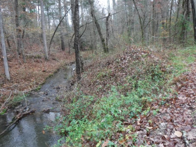85 Twin Bridge Road Deer Lodge, TN 37726 - Photo 13 of 30 Gallery Image 13