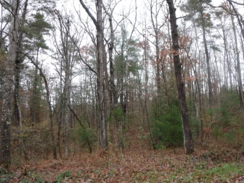 85 Twin Bridge Road Deer Lodge, TN 37726 - Photo 14 of 30 Gallery Image 14