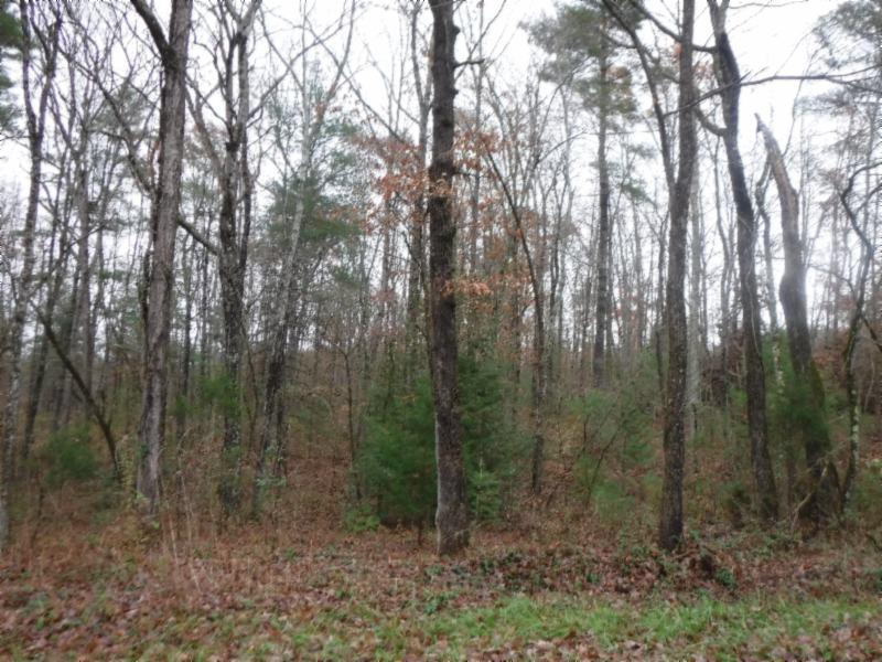 85 Twin Bridge Road Deer Lodge, TN 37726 - Photo 15 of 30 Gallery Image 15