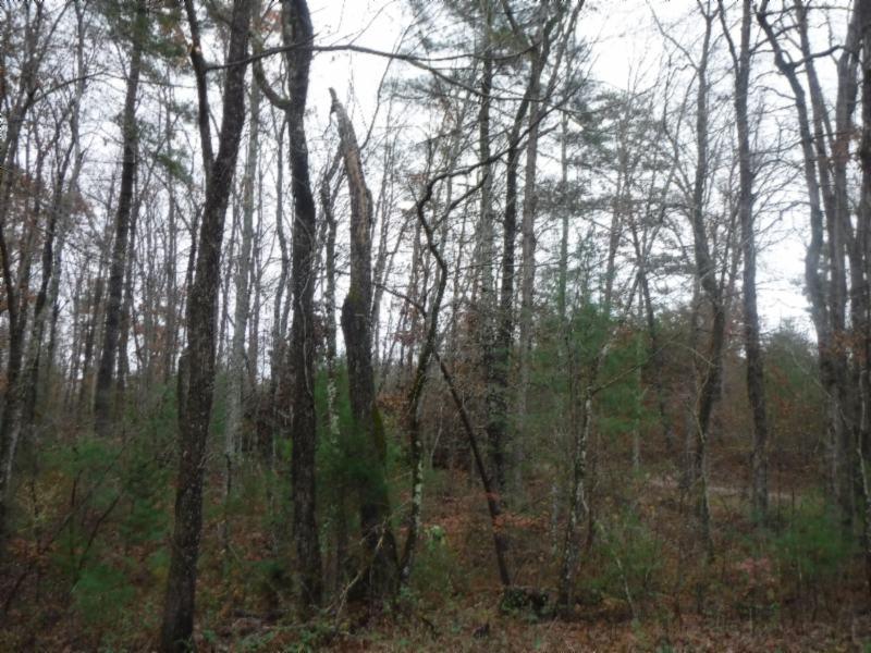 85 Twin Bridge Road Deer Lodge, TN 37726 - Photo 16 of 30 Gallery Image 16