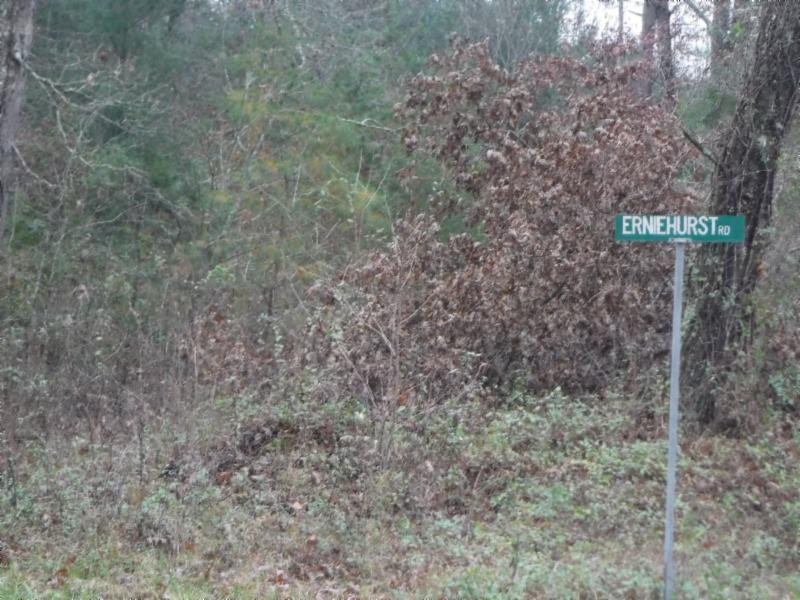 85 Twin Bridge Road Deer Lodge, TN 37726 - Photo 18 of 30 Gallery Image 18