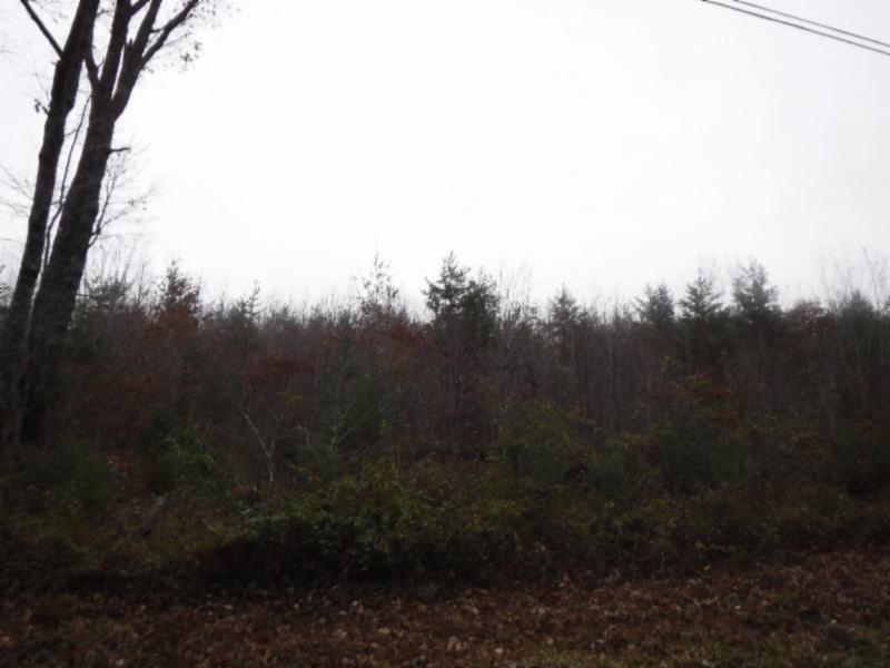 85 Twin Bridge Road Deer Lodge, TN 37726 - Photo 20 of 30 Gallery Image 20