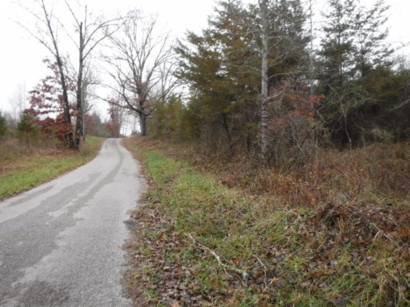 85 Twin Bridge Road Deer Lodge, TN 37726 - Photo 2 of 30 Gallery Image 2