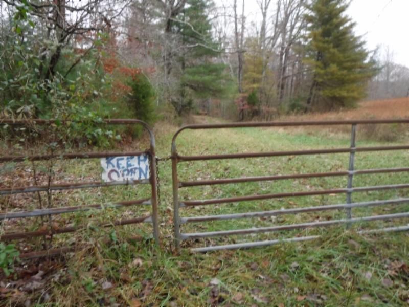 85 Twin Bridge Road Deer Lodge, TN 37726 - Photo 21 of 30 Gallery Image 21
