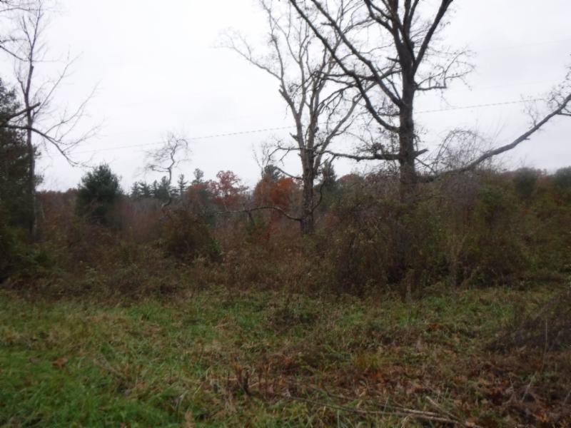 85 Twin Bridge Road Deer Lodge, TN 37726 - Photo 23 of 30 Gallery Image 23